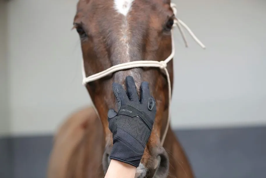 Gants d'entraînement Racer® Evolution - Antiglisse et Confort